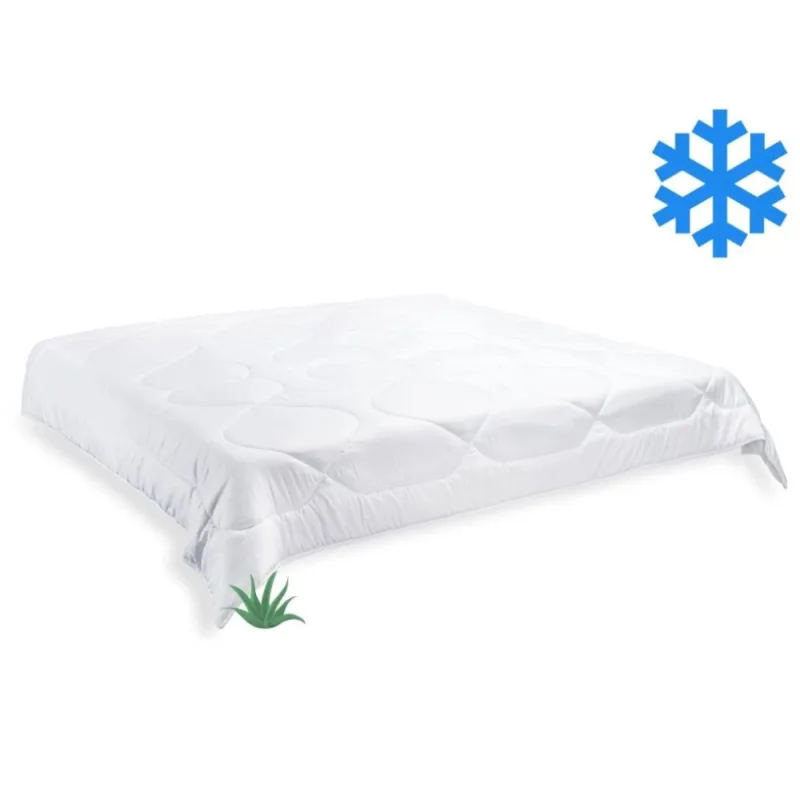 Brotex Prikrývka Aloe Vera zimná 200x200cm 1800g