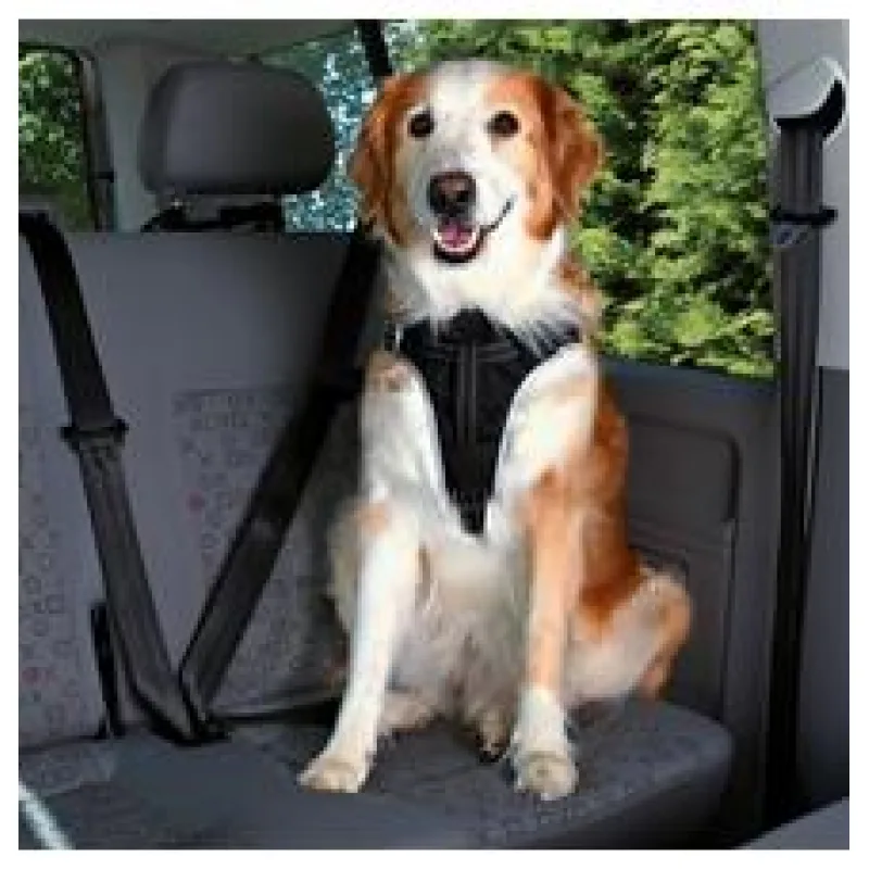 Bezpečnostní postroj do auta L 65-80 cm/23 mm