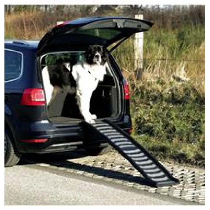 Skládací rampa, plastová 39 x 160 cm černo/šedá 1 ks