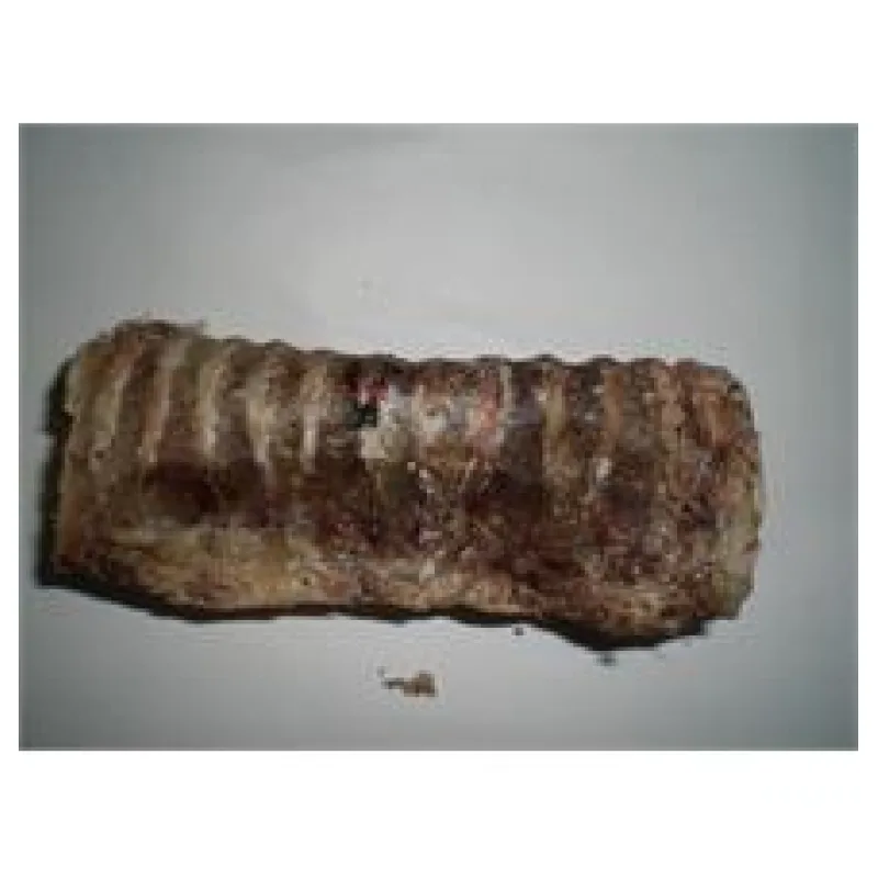 Průdušnice, trachea 13 cm 10 ks