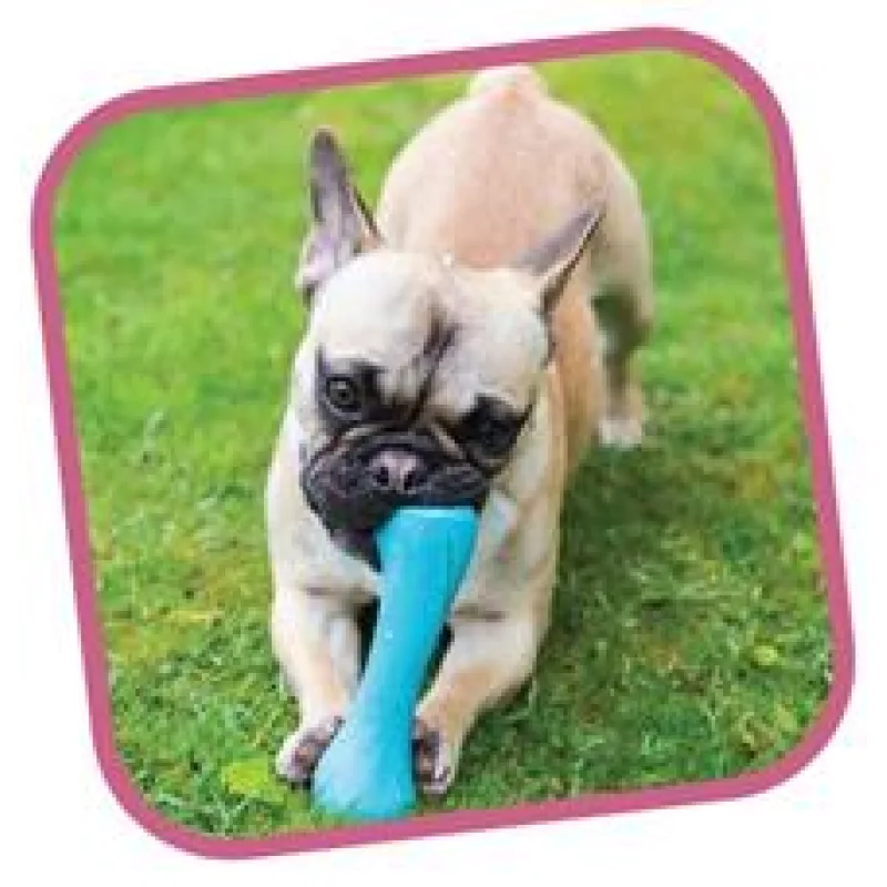 BecoBone kost EKO-modra-s