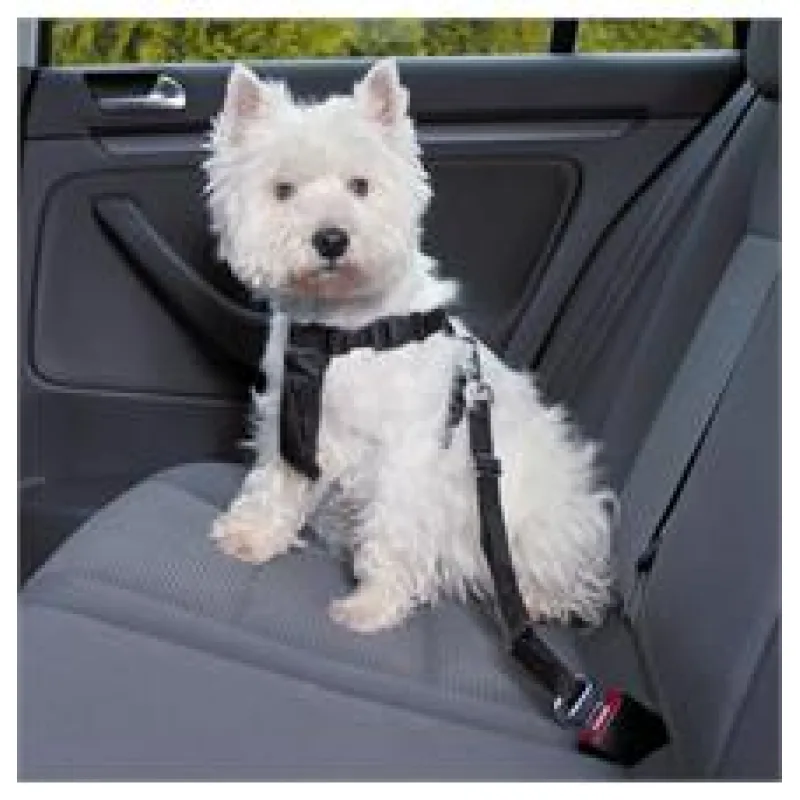 Postroj do auta pro psa M 50-70 cm