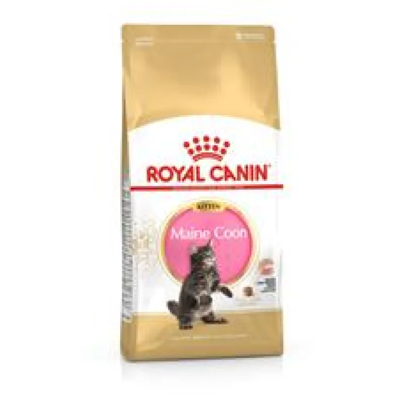ROYAL CANIN Maine Coon Kitten 2 kg