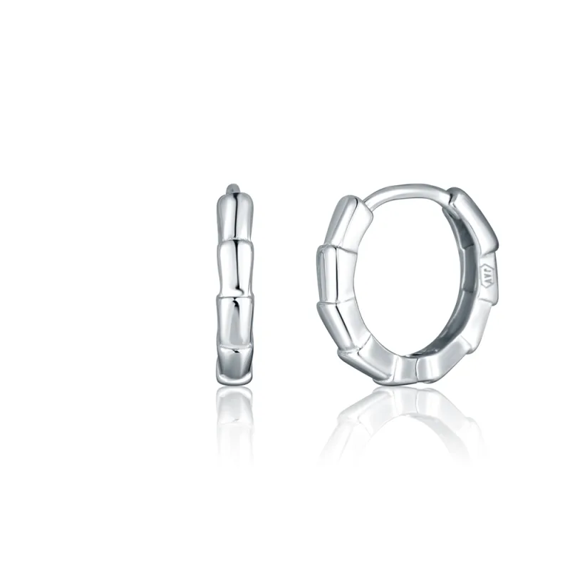 JVD Dámské stříbrné kruhové náušnice SVLE2736X860000