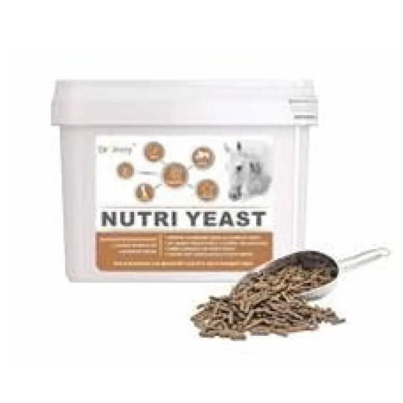 Dromy Nutri Yeast 6kg