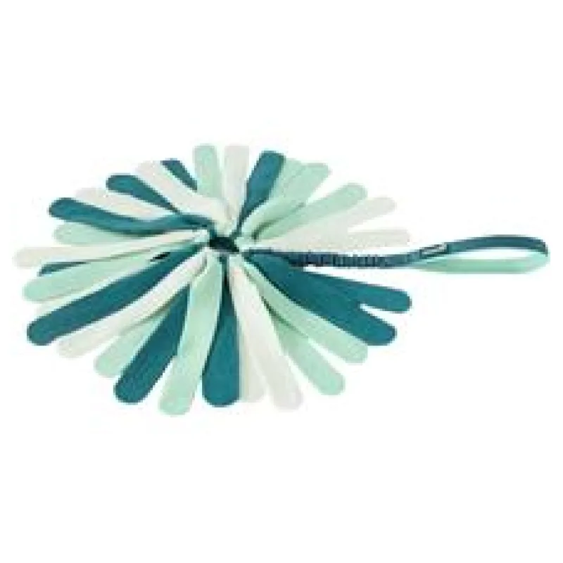 Hračka Coachi Puppy & Mini Tuggi Spider 1 ks