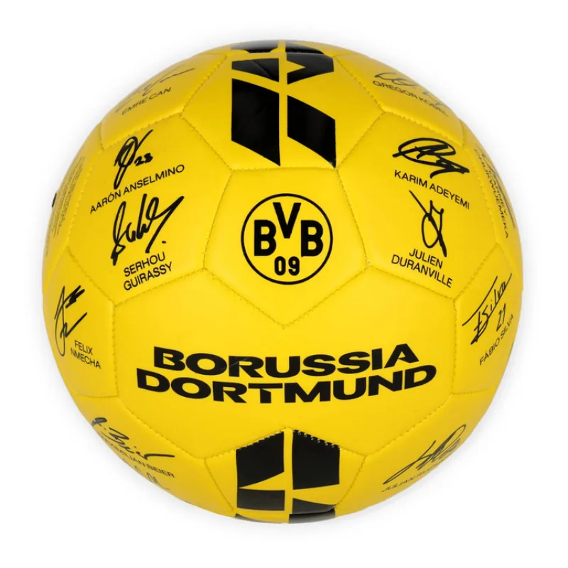 Borussia Dortmund BVB 09 lopta s podpismi 2025-2026 - SKLADOM