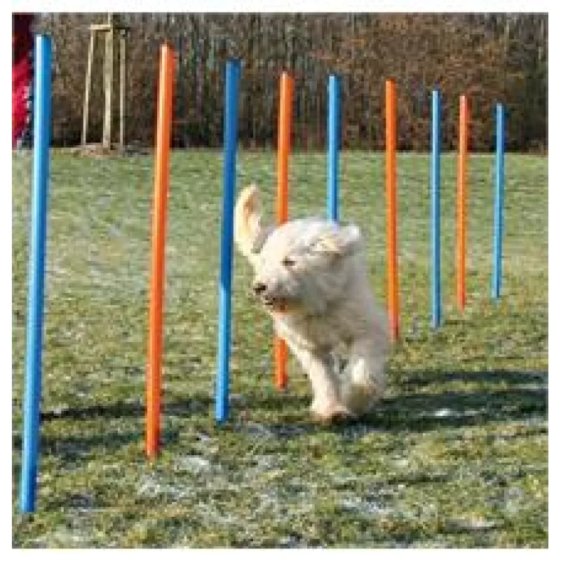 AGILITY Slalom, tyče 12ks