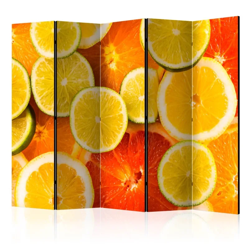 Artgeist Paraván - Citrus fruits [Room Dividers]