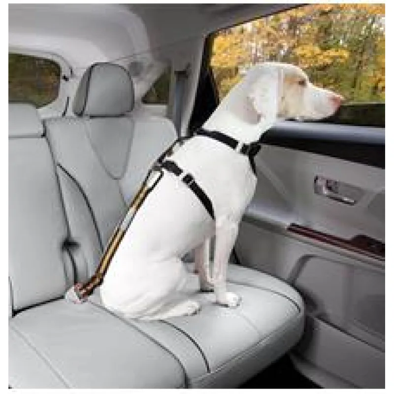 Kurgo Bezpečnostní pás pro psa do auta Direct to Seatbelt Tether oranžový