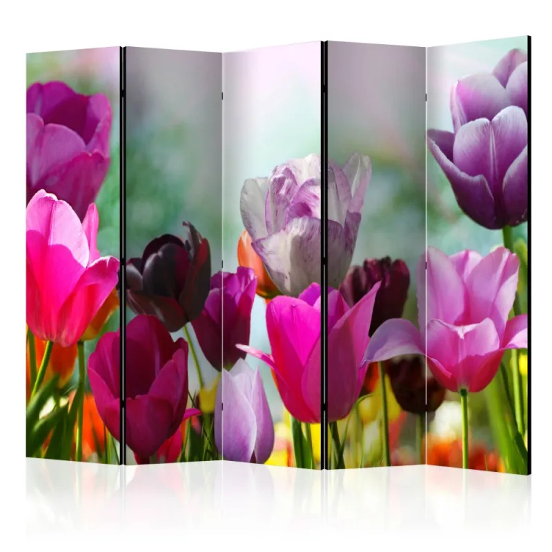 Artgeist Paraván - Beautiful Tulips II [Room Dividers]