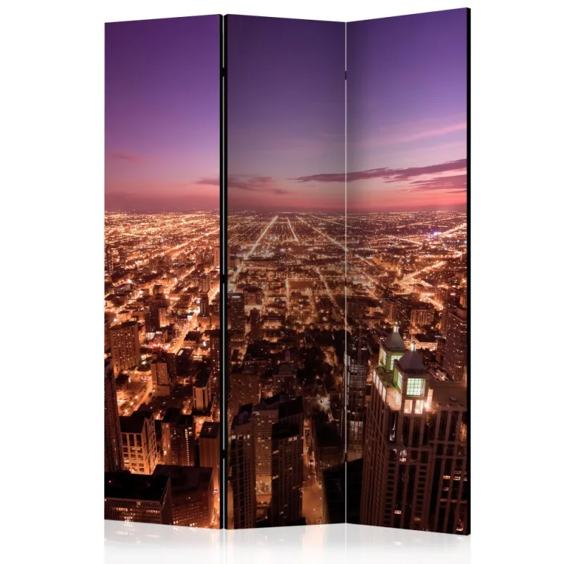Artgeist Paraván - Chicago Panorama [Room Dividers]