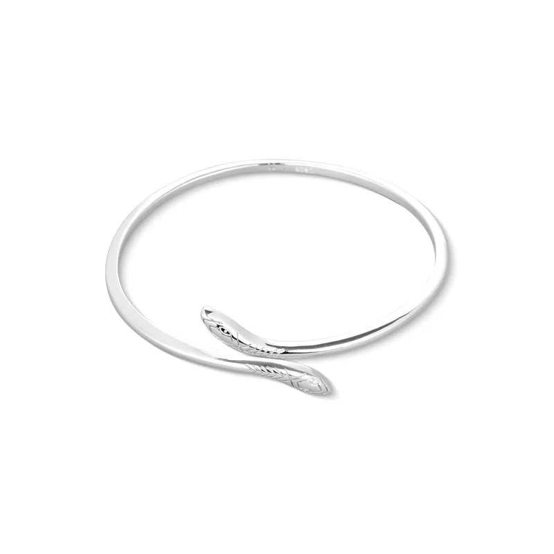 JVD Dámský stříbrný náramek had SVLB0306XH20000