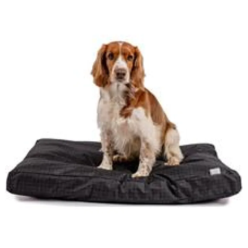 Matrace nylon Lazy paměťová černá 120x100x15