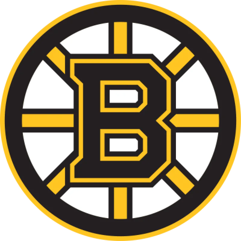 Boston Bruins nálepka - SKLADOM