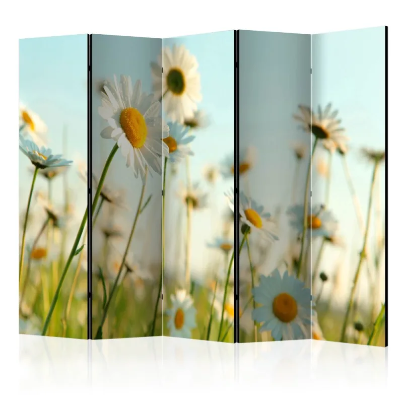 Artgeist Paraván - Daisies - spring meadow [Room Dividers]