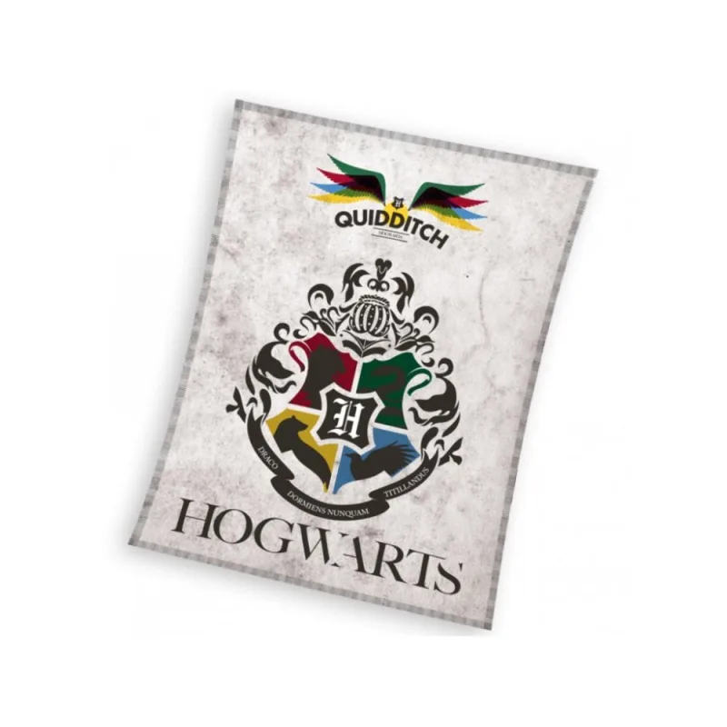 Detská deka Harry Potter Metlobal 130x170 cm