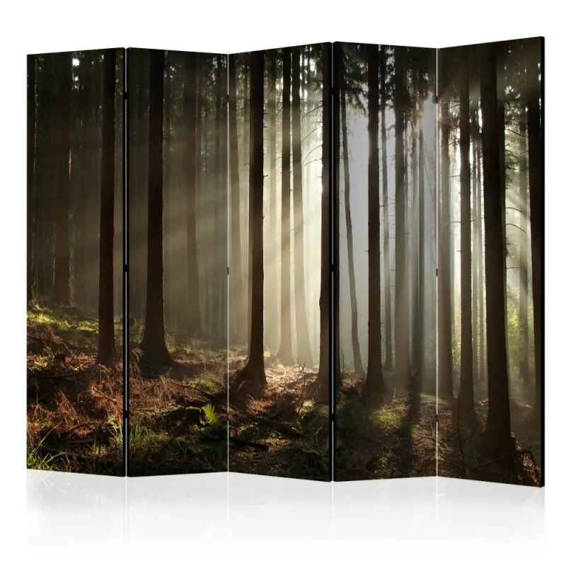 Artgeist Paraván - Coniferous forest [Room Dividers]