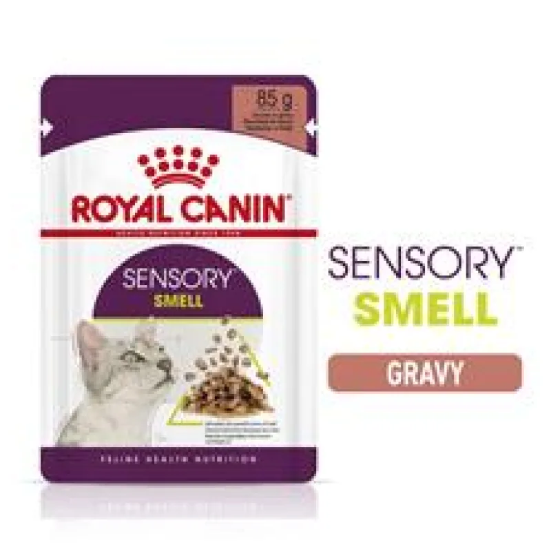 Royal Canin Sensory Smell gravy 12 x 85 g