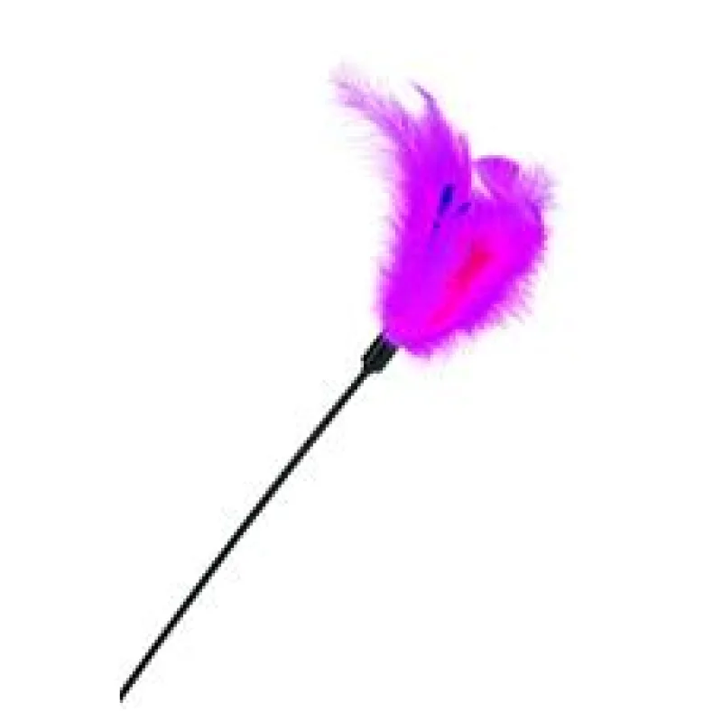 Beeztees Hračka škádlítko pro kočky s chmířím 45cm