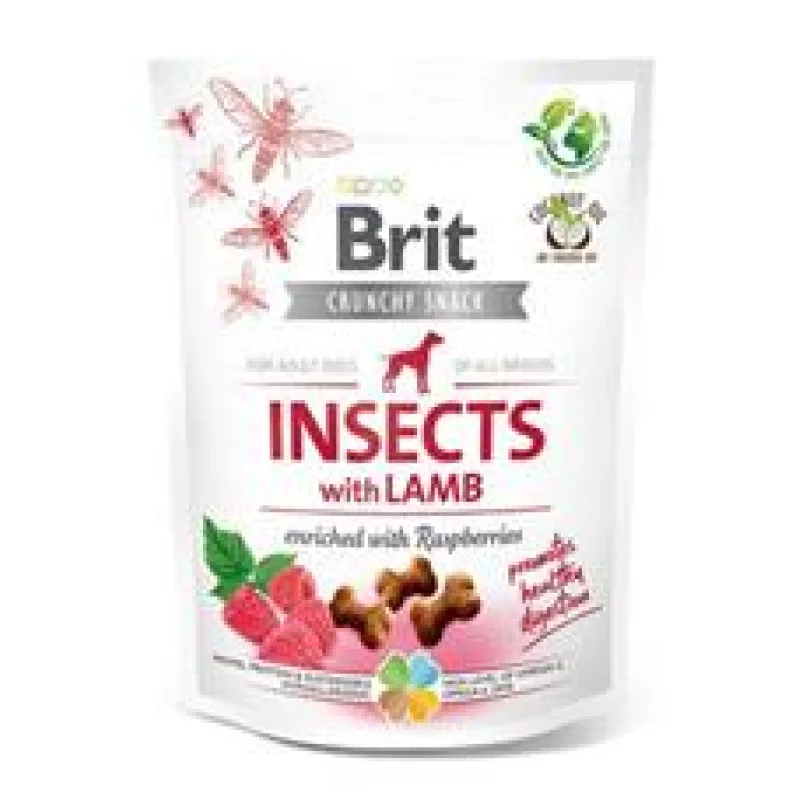 Brit Care Dog Crunchy Crack. Insec. Lamb Raspber 200 g