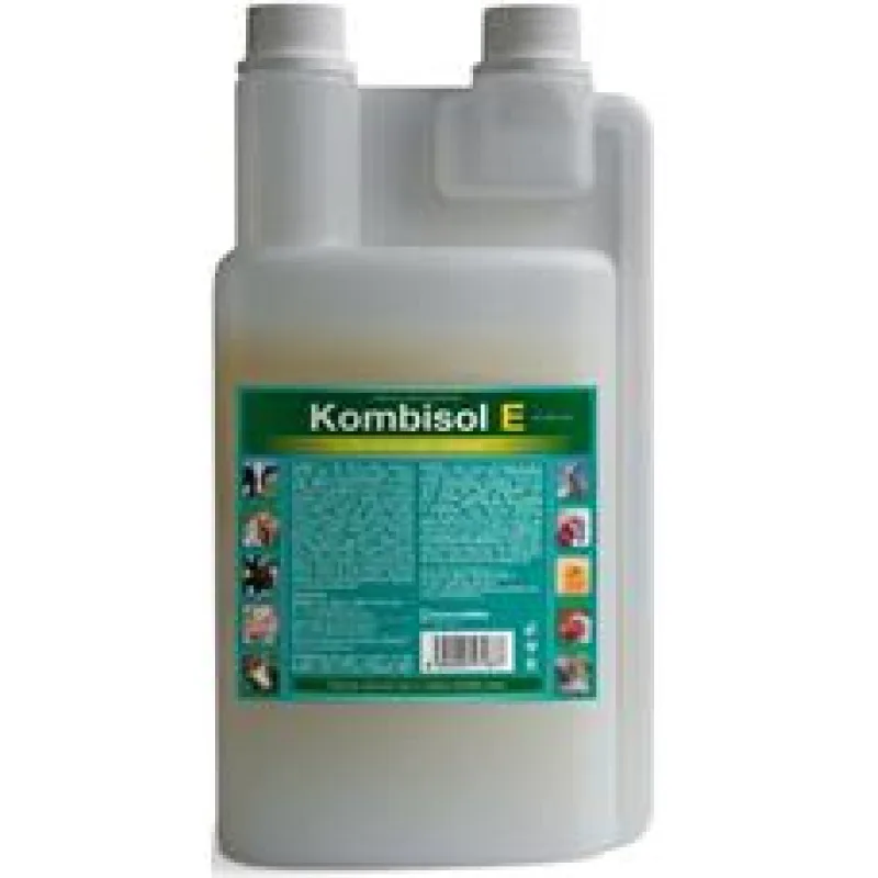 Kombisol E a.u.v. sol 1000ml