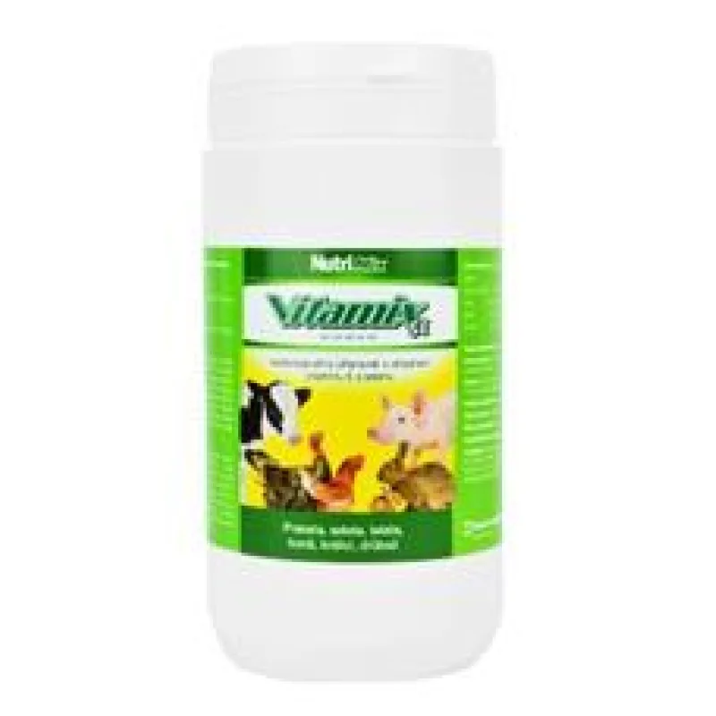 Vitamix SE plv 1 kg