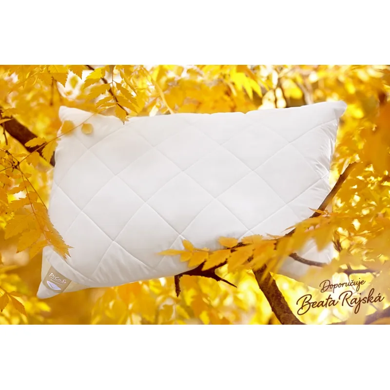 Picaso Luxusný vankúš Aloe vera 50x70 cm zips