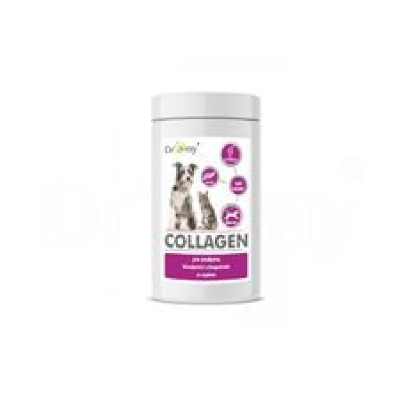 Dromy Collagen pro psy 160 tbl.
