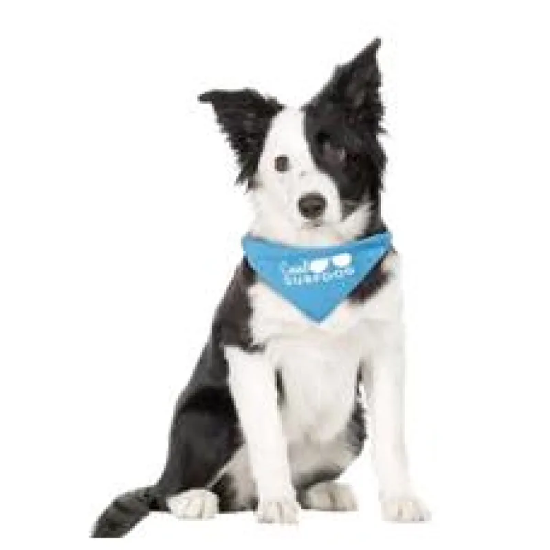 Karlie-Flamingo Šátek pro psy Surfdog 25/40cm 15mm