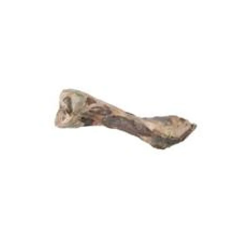 Pochoutka pes kost od šunky 1ks/24cm