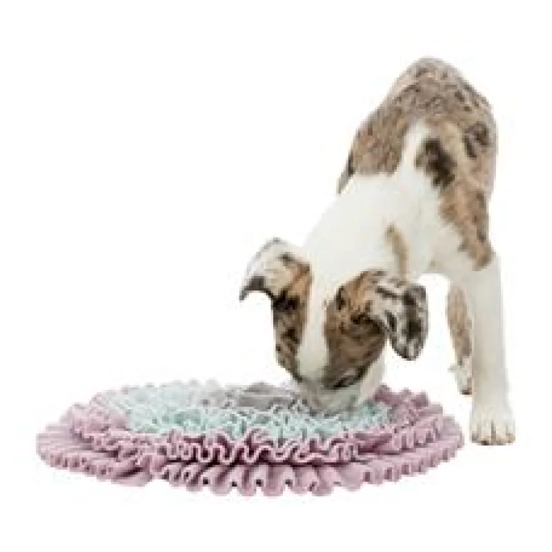 JUNIOR Dog Activity čichací koberec 38 cm