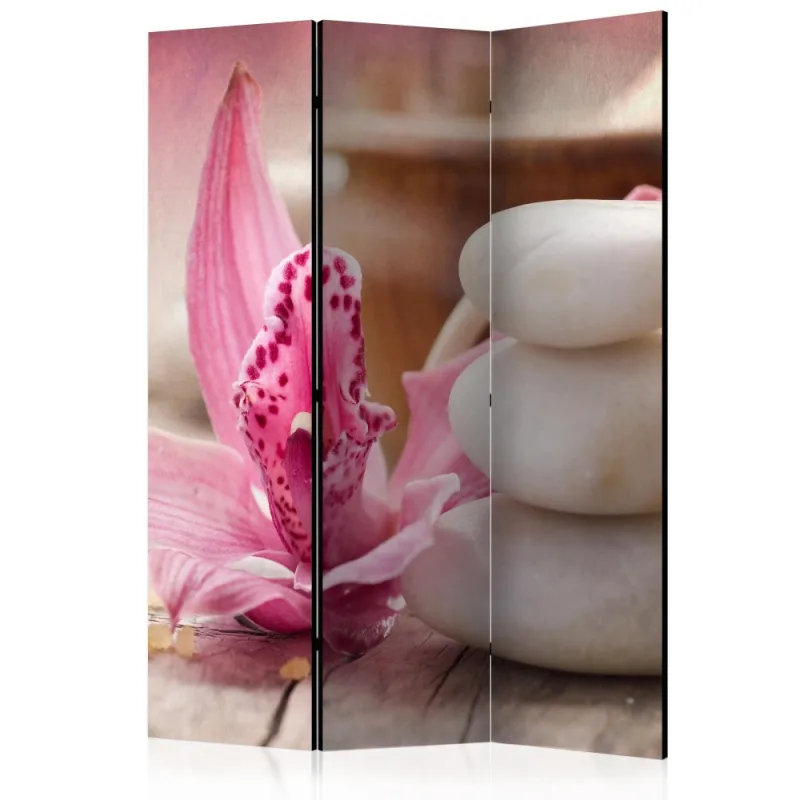 Artgeist Paraván - Aromatherapy [Room Dividers]