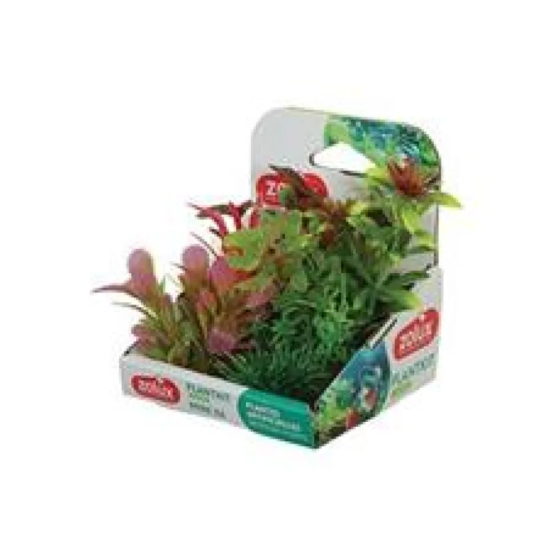 Rostliny akvarijní PLANTKIT 1 Zolux 1 sada MINI/ 6 ks