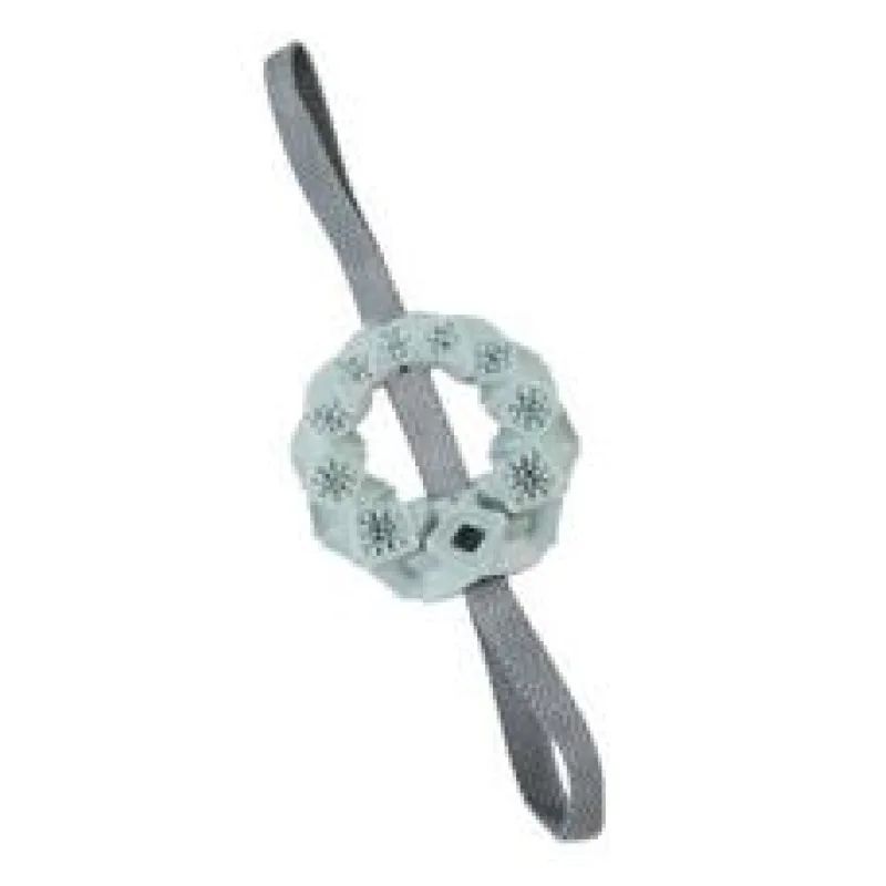 Hračka pes OUTDOOR TRP Kroužek Zolux modrá