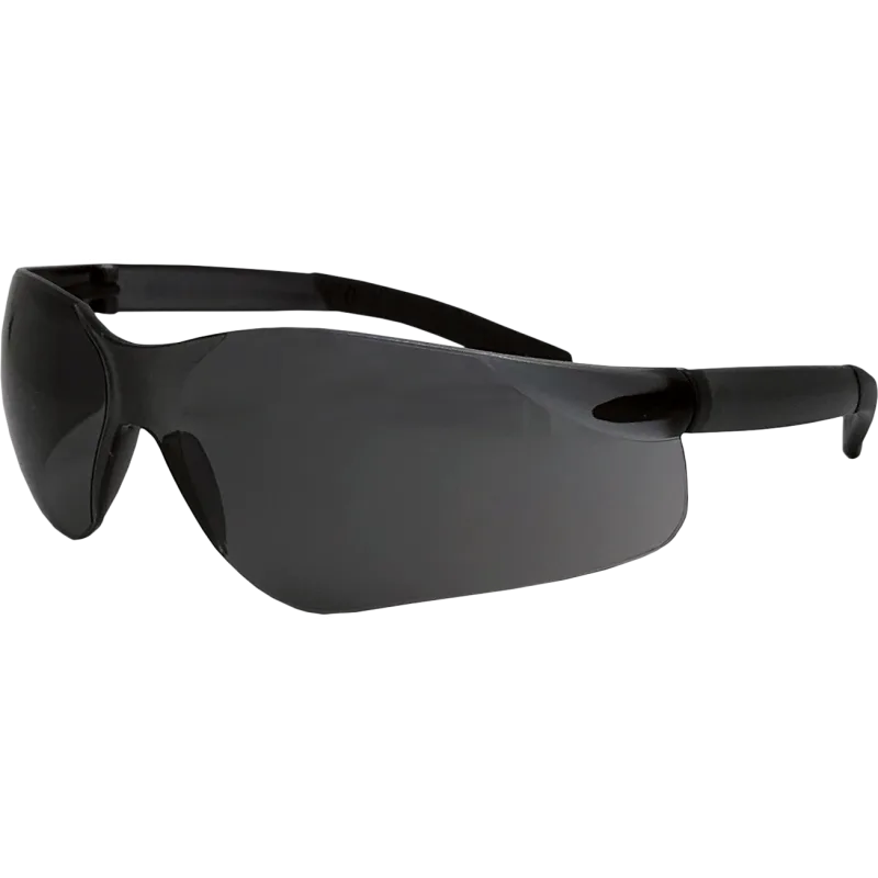 Reis GEORGIA Ochranné okuliare tónované