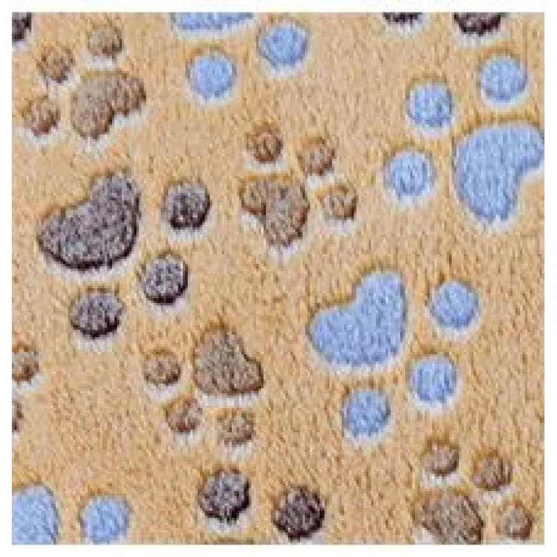 Flízová deka LASLO s tlapičkami - béžová 100 x 70 cm