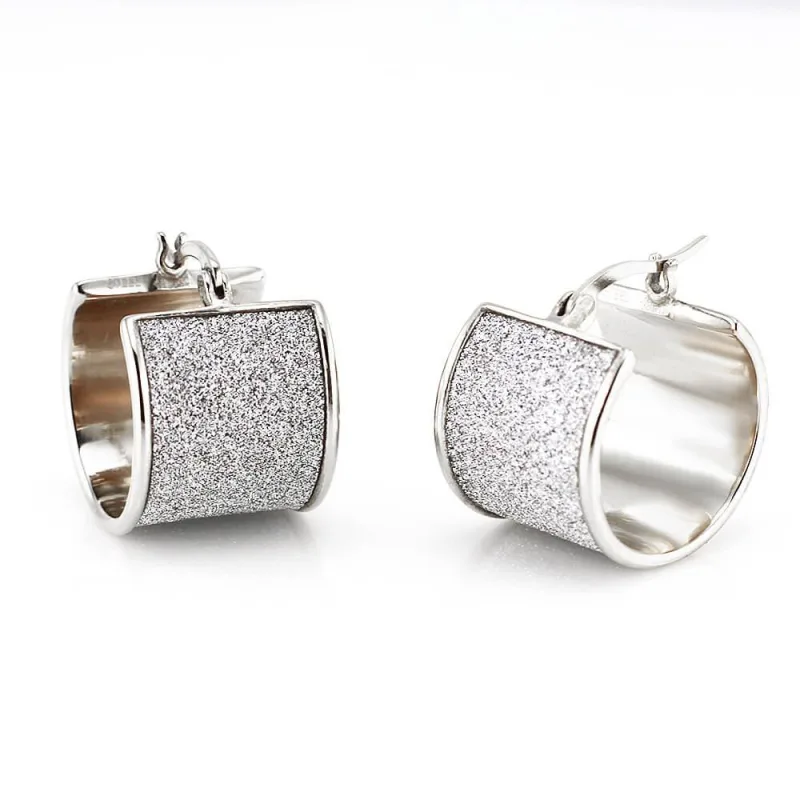 MPM Ocelové náušnice z chirurgické oceli Earrings 7723, Silver
