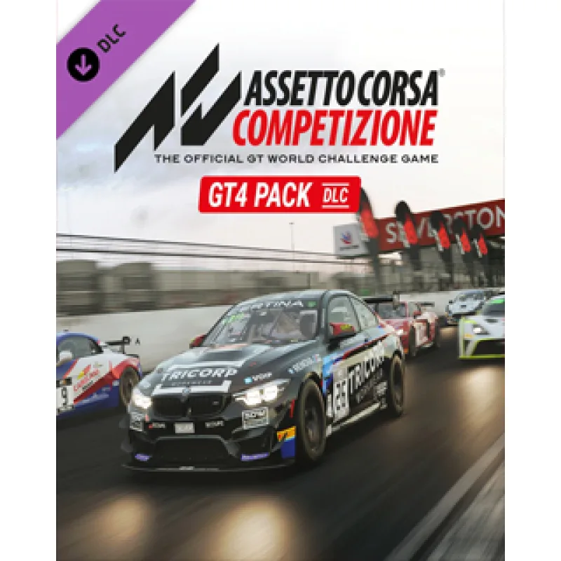 ESD Assetto Corsa Competizione GT4 Pack ESD_7831