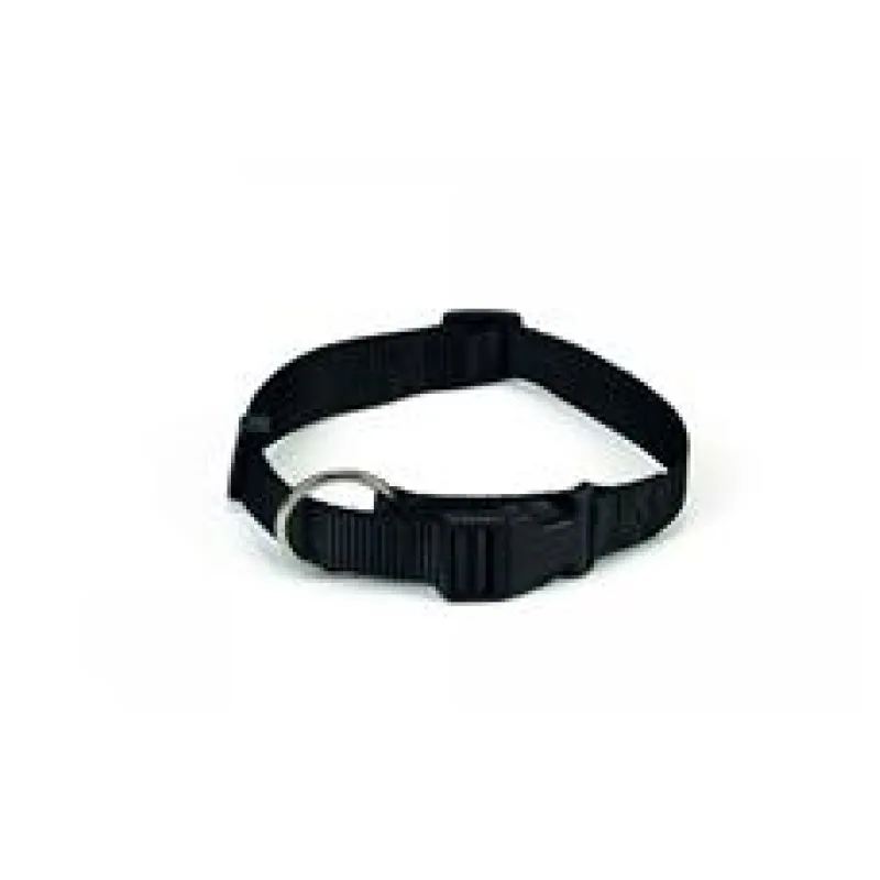 Beeztees Obojek pro psy nylonový černý 40-60cm x 25mm