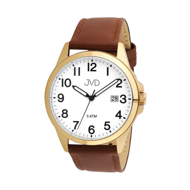 Pánské voděodolné ocelové náramkové hodinky JVD J1131.8