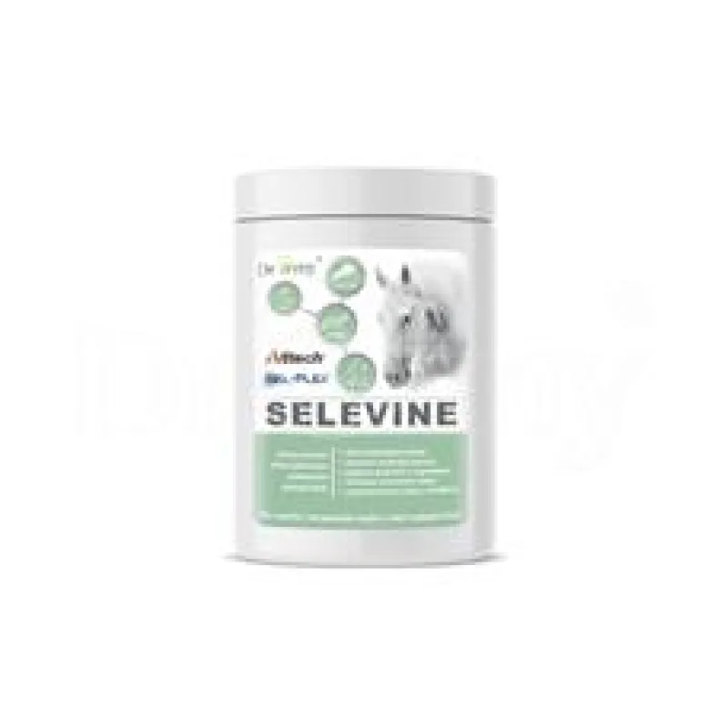 Dromy SELEVINE 600 g