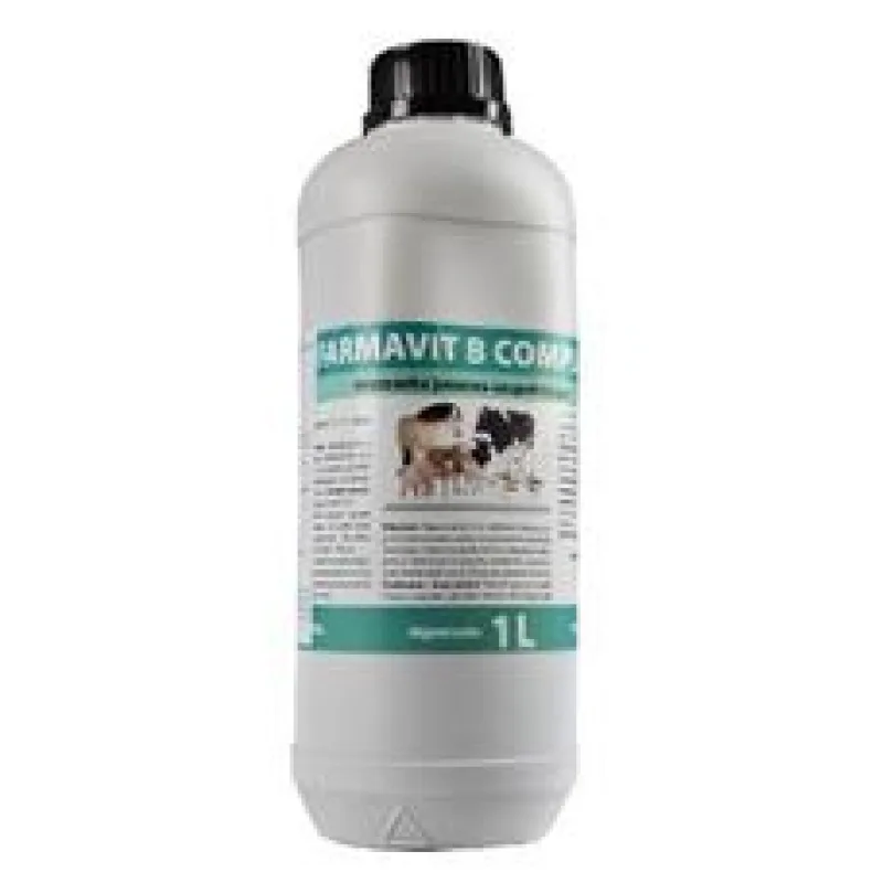 Farmavit B-komplex 1L tekutý 1l