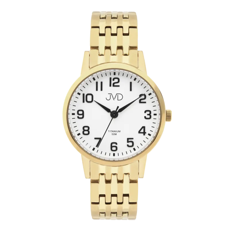 JVD Pánské námrakové titanové antialergické zlacené hodinky JVD JE5001.3
