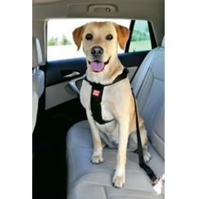 Postroj pes Bezpečnostní do auta Zolux XL