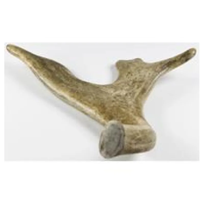 Dančí paroh pro psy mini 50-70g