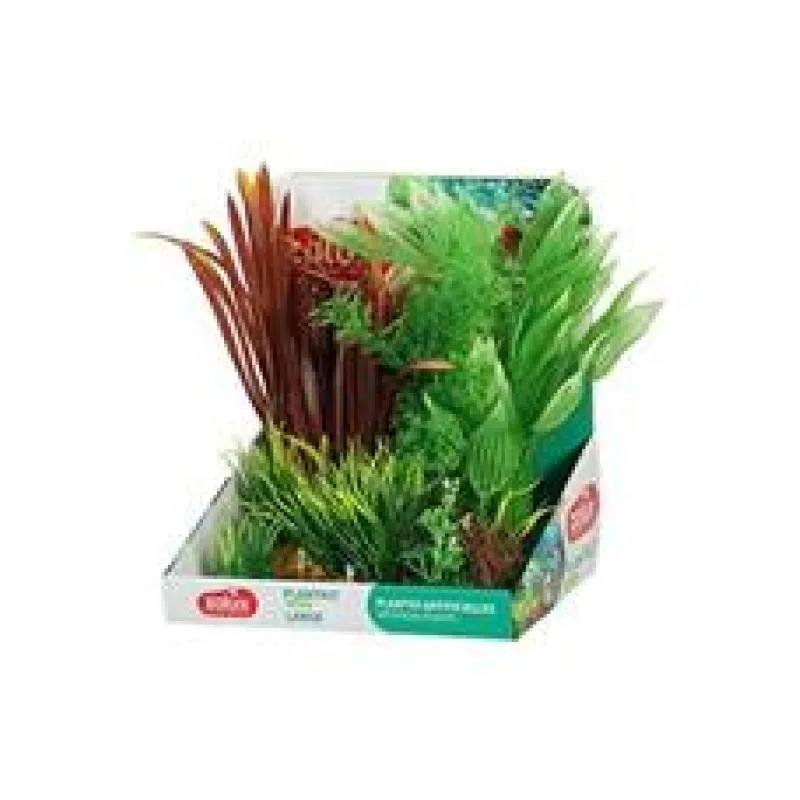 Rostliny akvarijní PLANTKIT 2 Zolux 1 sada/L