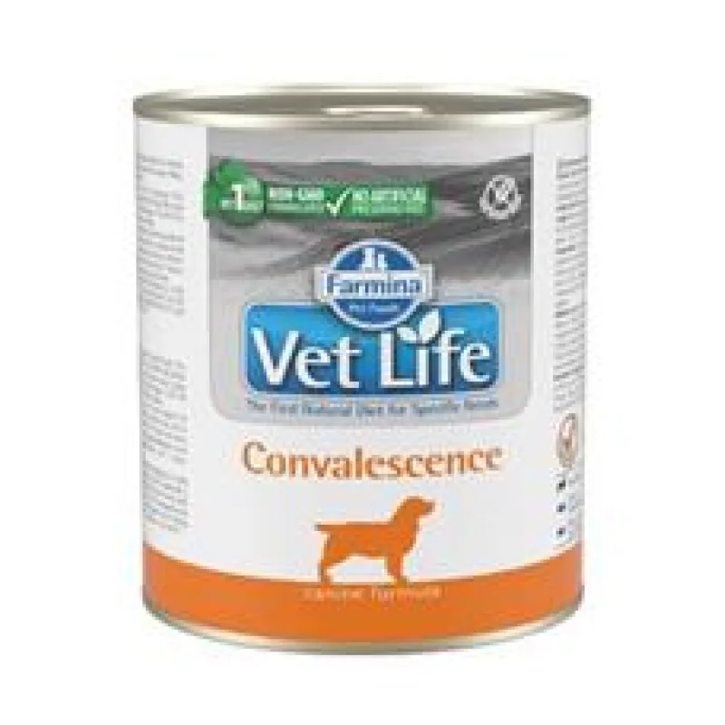 Vet Life Natural Dog konz. Convalescence 300g