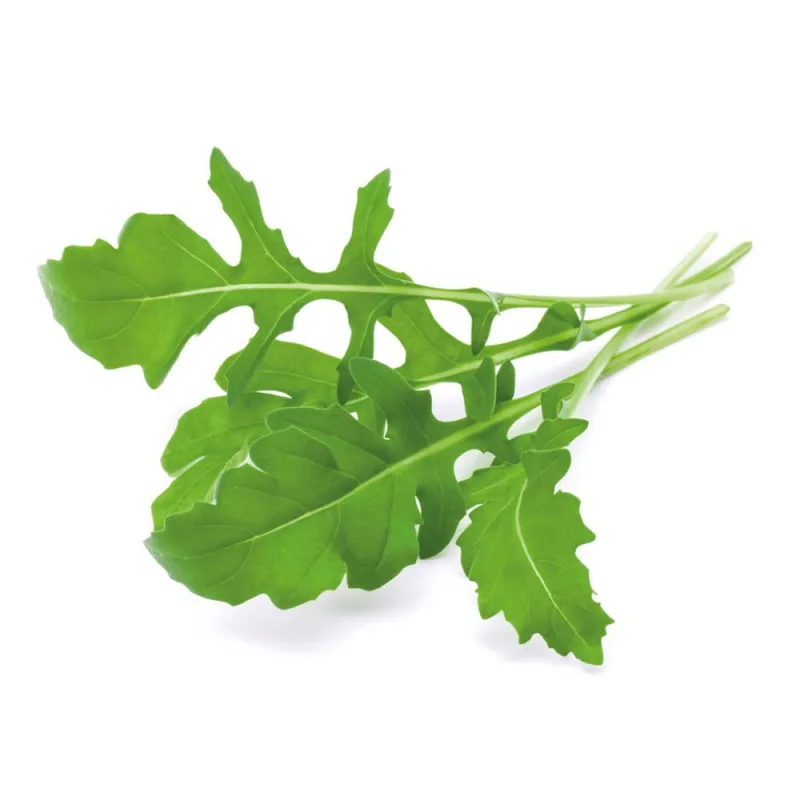 Smart Garden Rukola PCW-044