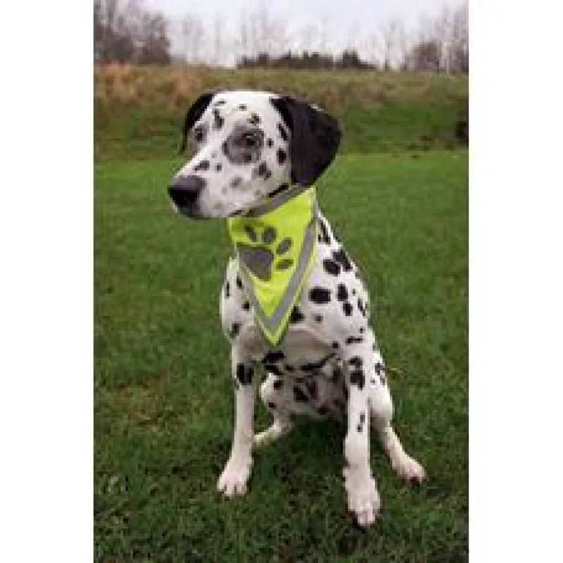 Reflexní šátek pro psa L-XL 43-60 cm